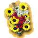 flor.gif (2892 bytes)